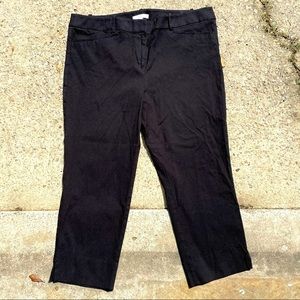 LOFT Polka Dot Rivera Pant Size 18